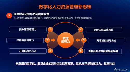衡水新聞網